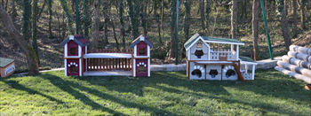 6a062cc6-1e81-4188-89d5-3440de0135a4.jpg